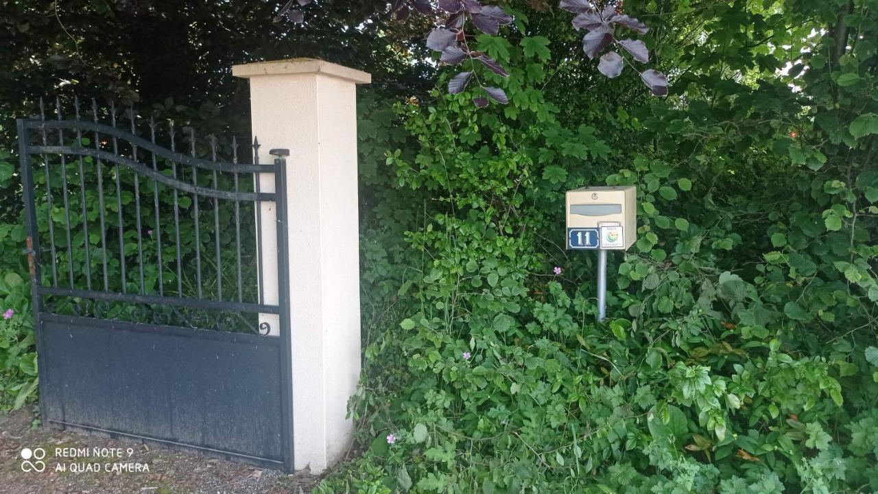 La Bella 12 - Appartement Gite Dans Maison D'Hotes Bordeaux-Saint-Clair Luaran gambar