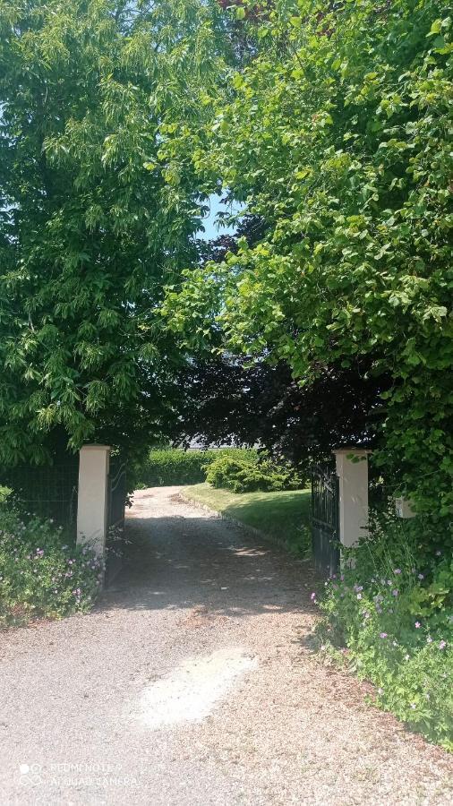 La Bella 12 - Appartement Gite Dans Maison D'Hotes Bordeaux-Saint-Clair Luaran gambar